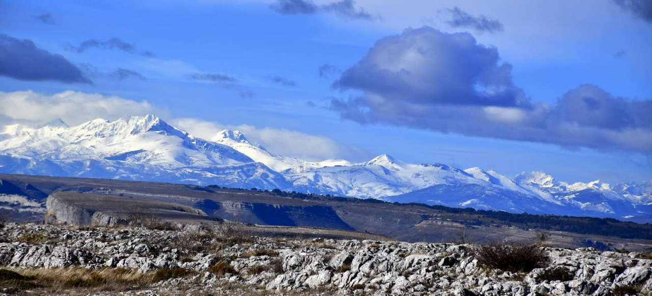 WhatsApp Image 2026-02-09 at 20.29.04 (2)